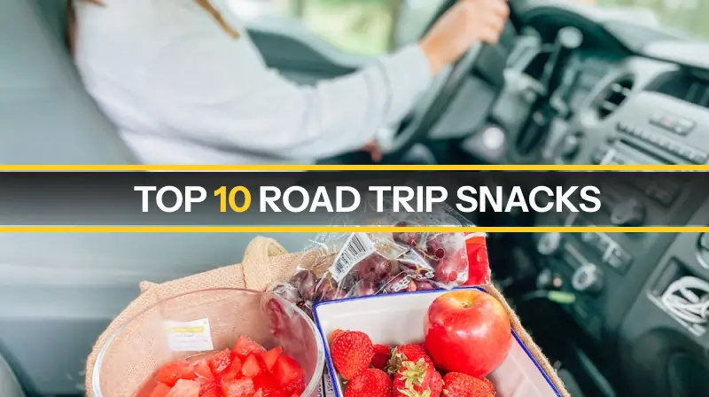 Top 10 Healthy Road Trip Snacks for Outstation Driving